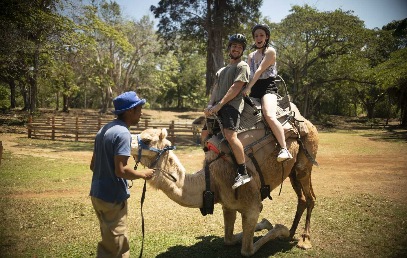 Camel Back