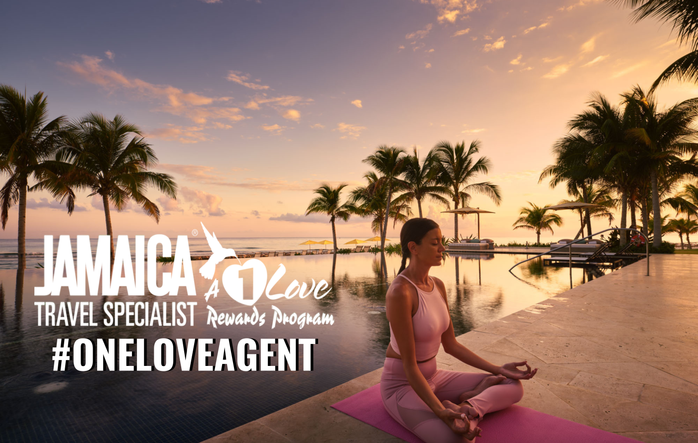 OneLove Agent Header
