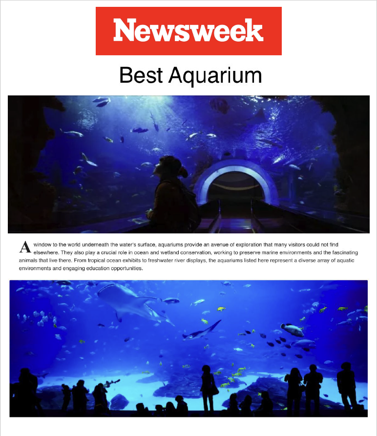 Newsweek Best Aquarium Cover