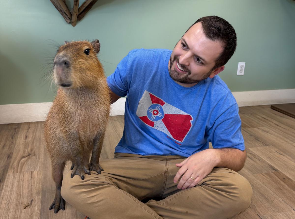 A man smiles and pets a capybara at Tanganyika Wildlife Park