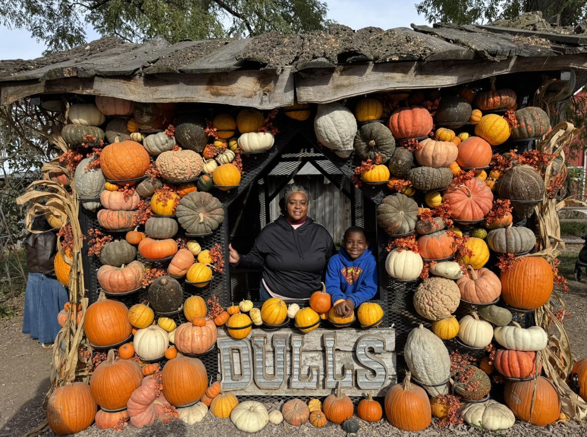 Dull's Pumpkin Harvest
