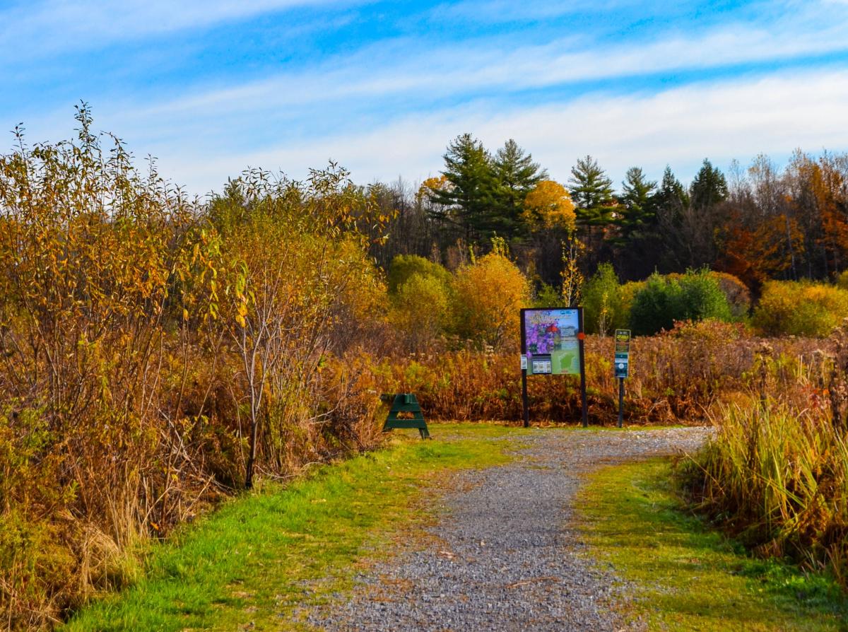 A Photo of the Meadowbrook Preserve Trail with Fall Foliage in the Background