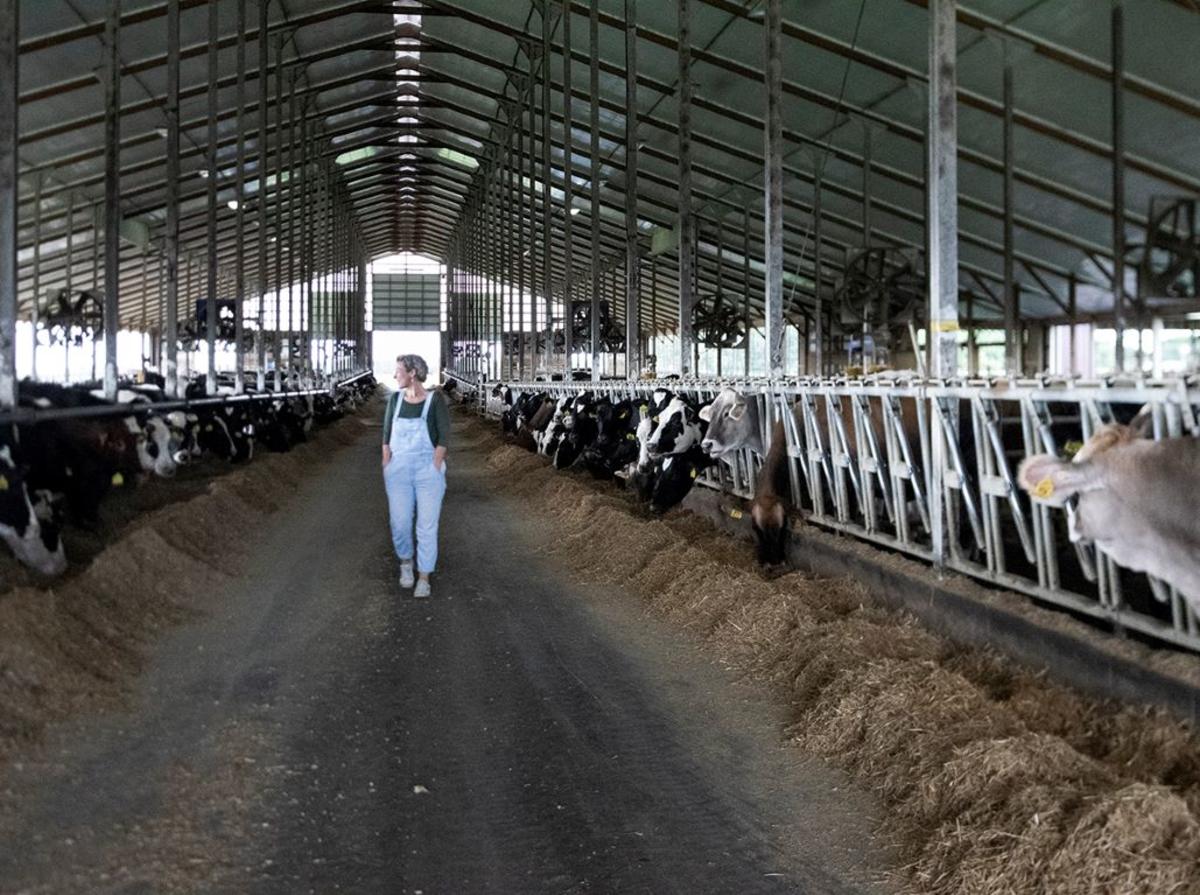 Woman in overalls walking in the diary farm barn at Marieke Gouda