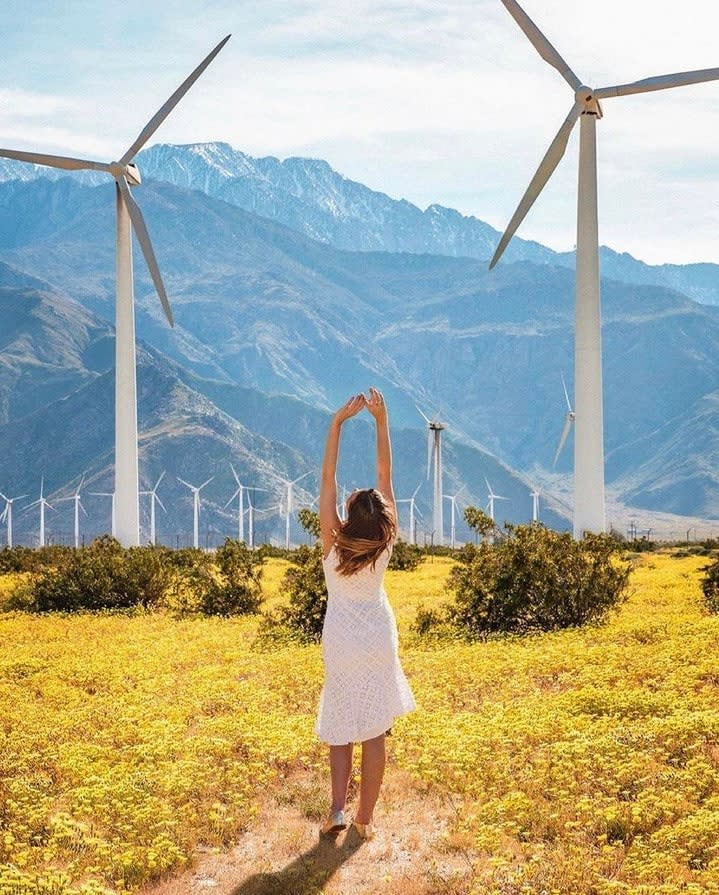 windmills credit @asyatravels