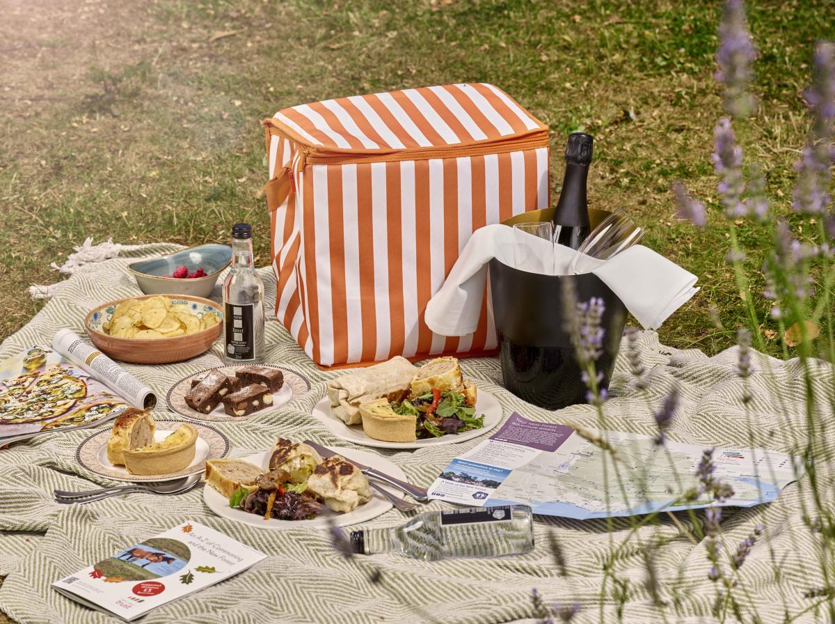 Montagu Arms - Picnic