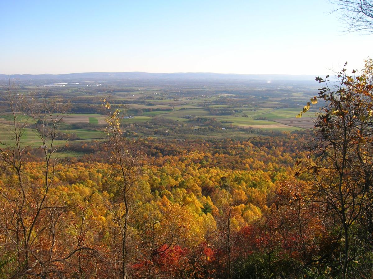Trees with fall colors over looking cumberland valley