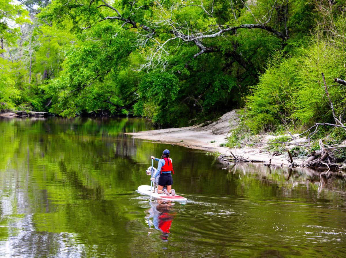 A woman and a dog on a stand-up paddleboard on Bogue Falaya River with lush green trees and bushes behind.