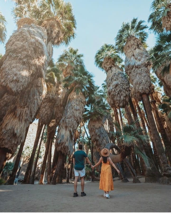 indian canyons credit @travelwith.dna
