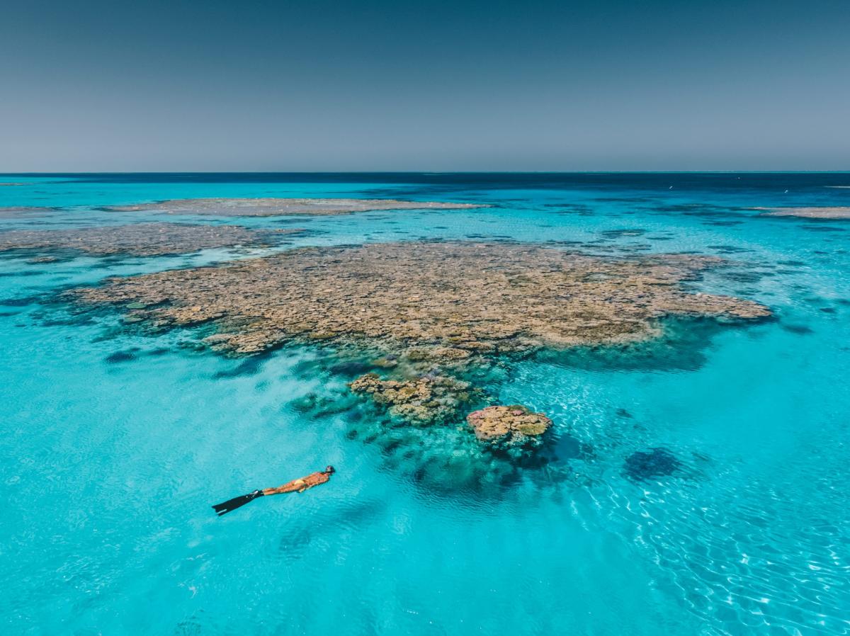A snorkeller in crystal clear waters alongside a reef at Rowley Shoals