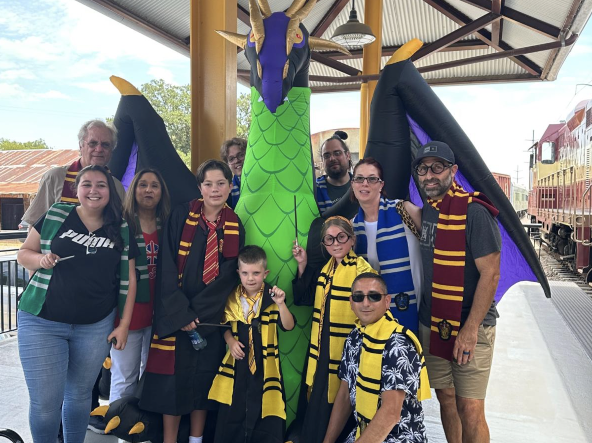 The Wizard Train
