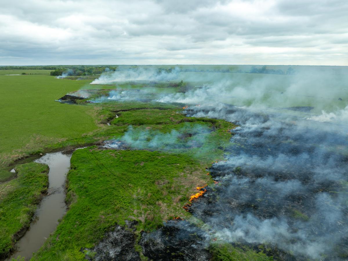 a drone photo capturing a prairie burn from above. Smoky rises from the burnt ground, there is vibrant green grass where its not been burnt.