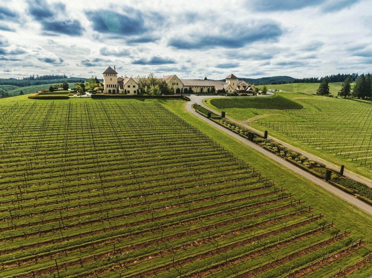 Aerial Photo of King Estate Winery