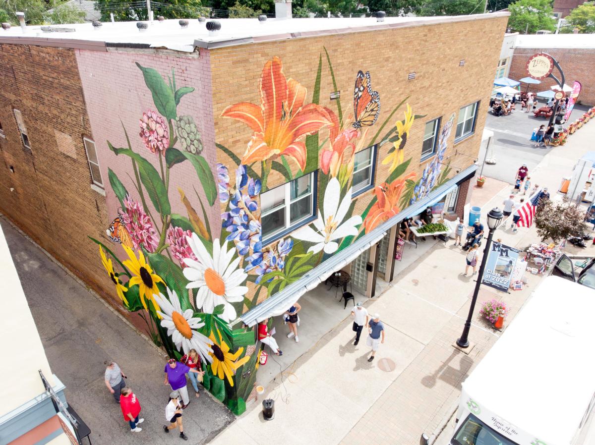 Aerial view of mural on building