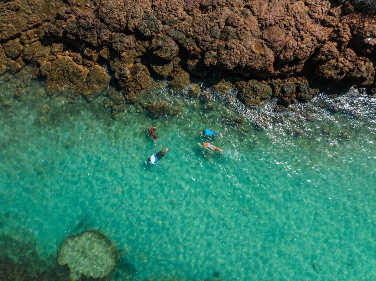Grupo de amigos practicando snorkel en las cristalinas aguas de Isla Iguana
