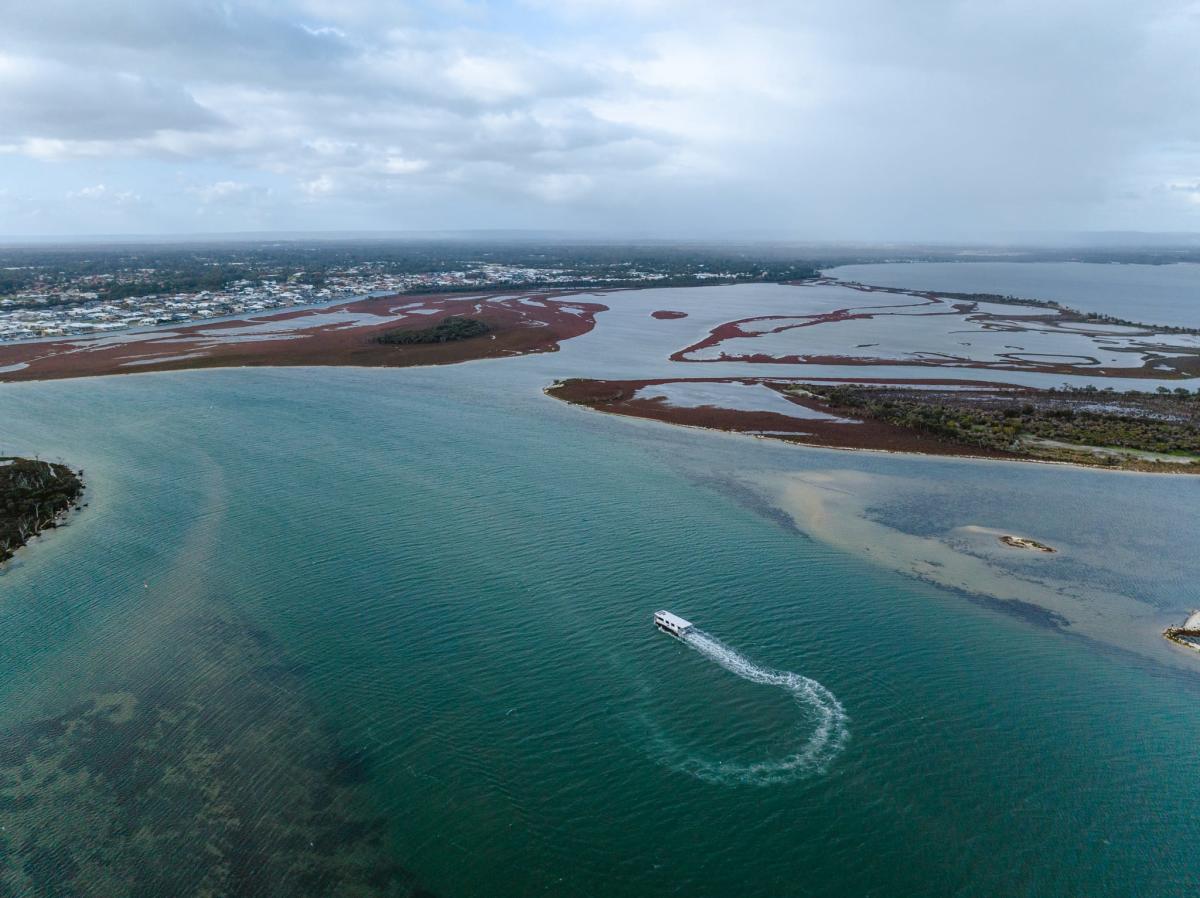 Mandurah Estuary