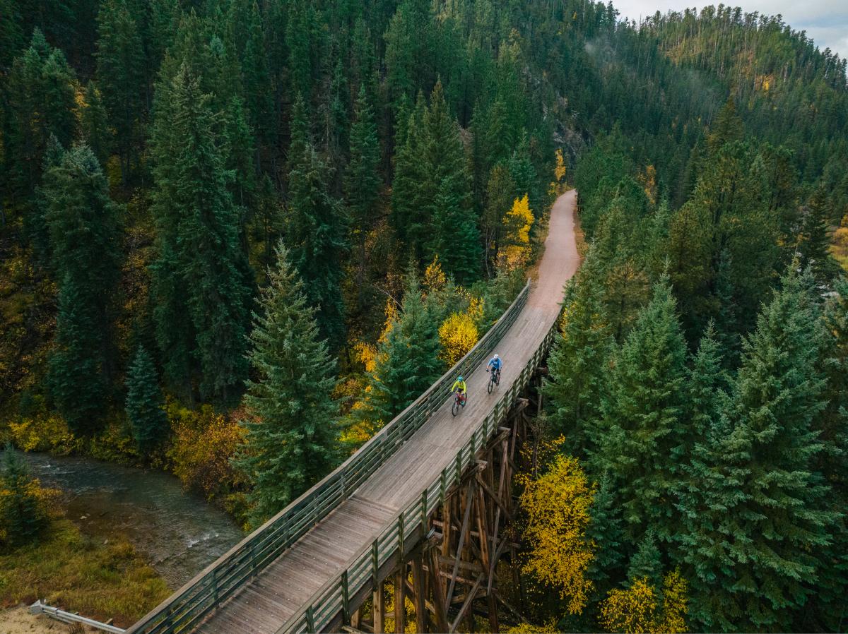 Aerial view of two cyclists on a wooden bridge, surrounded by dense green pine trees and patches of yellow foliage, conveying adventure and serenity.