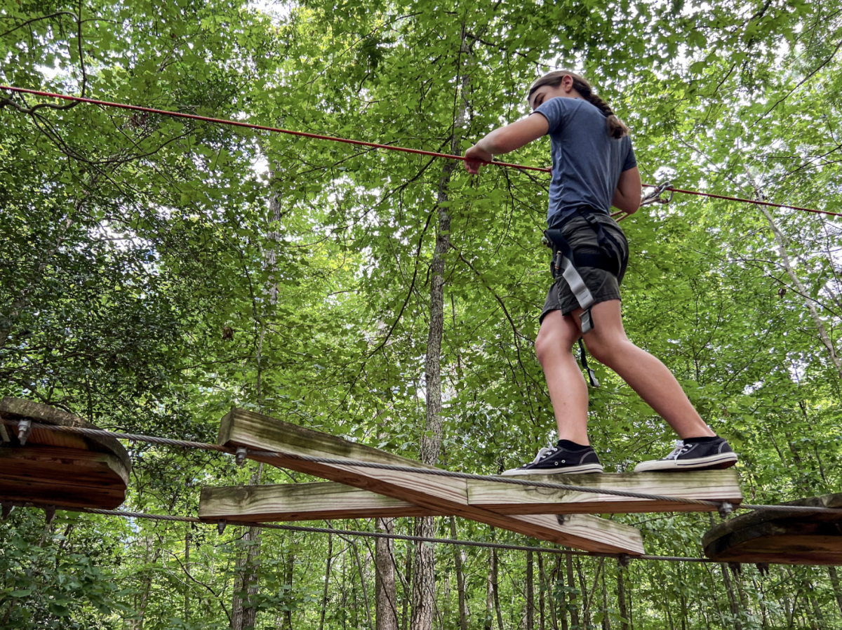 L&M Zoo Tree Tops