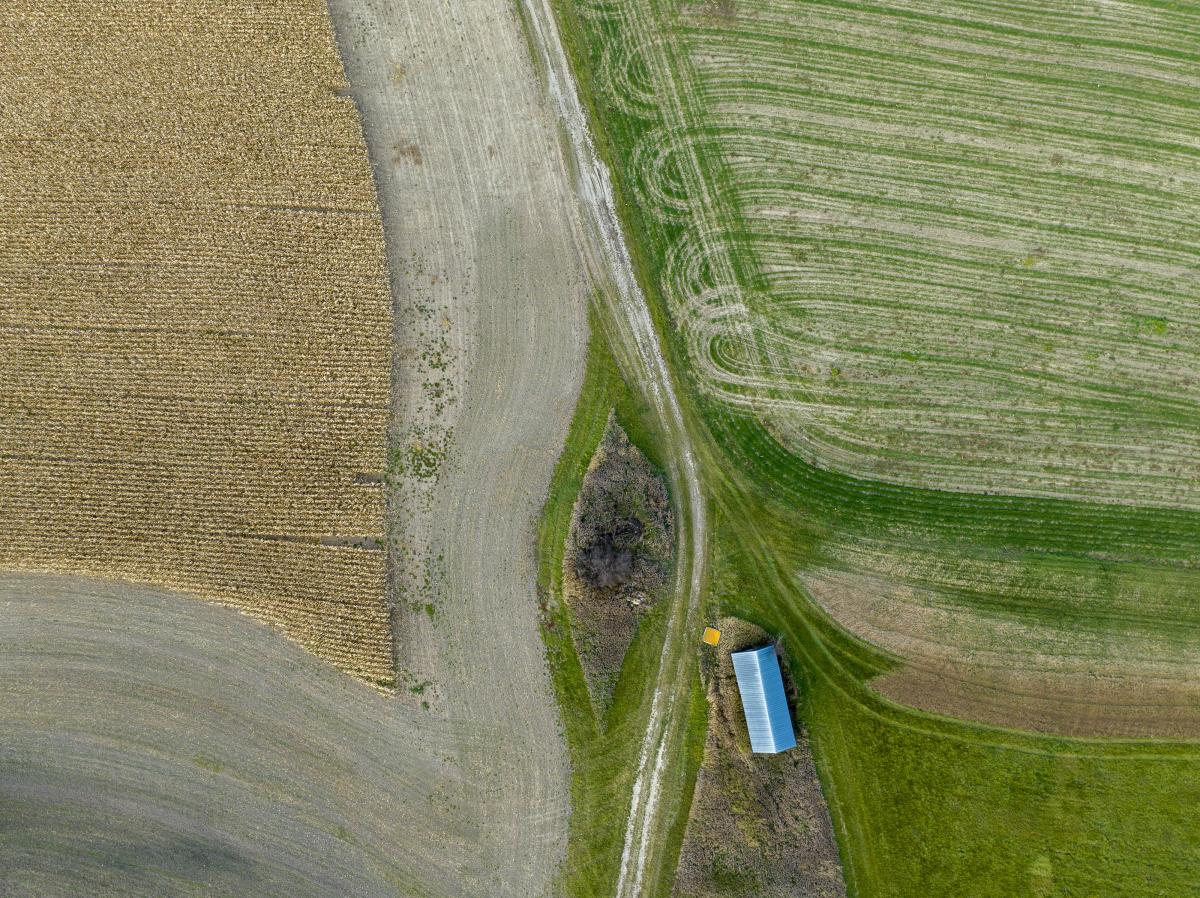 Aerial view of a cornfield near Burlington, VT
