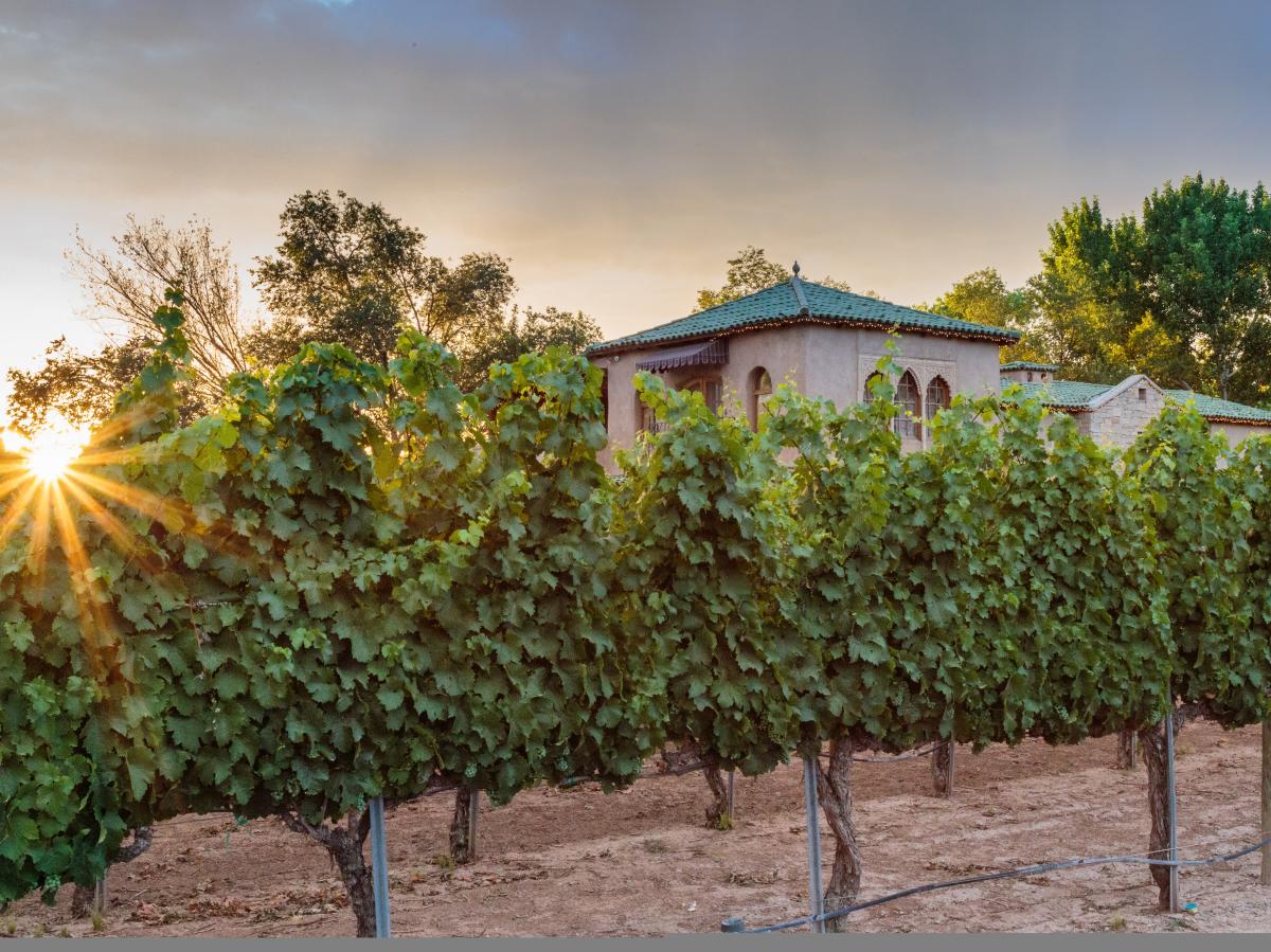 Casa Rondeña Winery