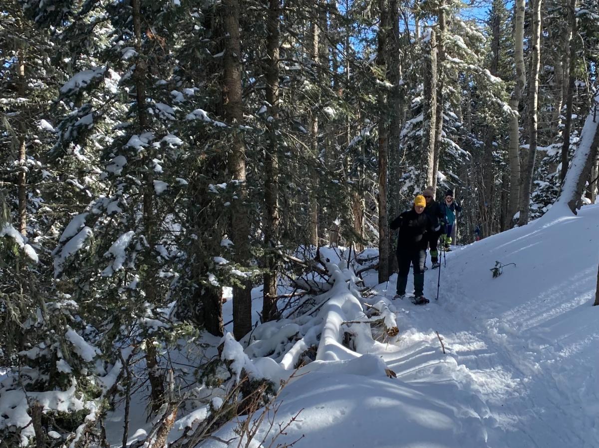 A couple people snowshoe along a path in the Sandia Mountains