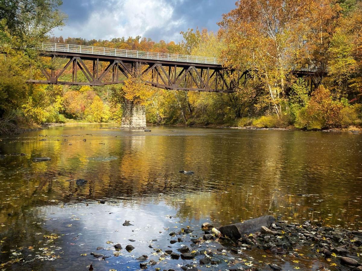 bridge in fall