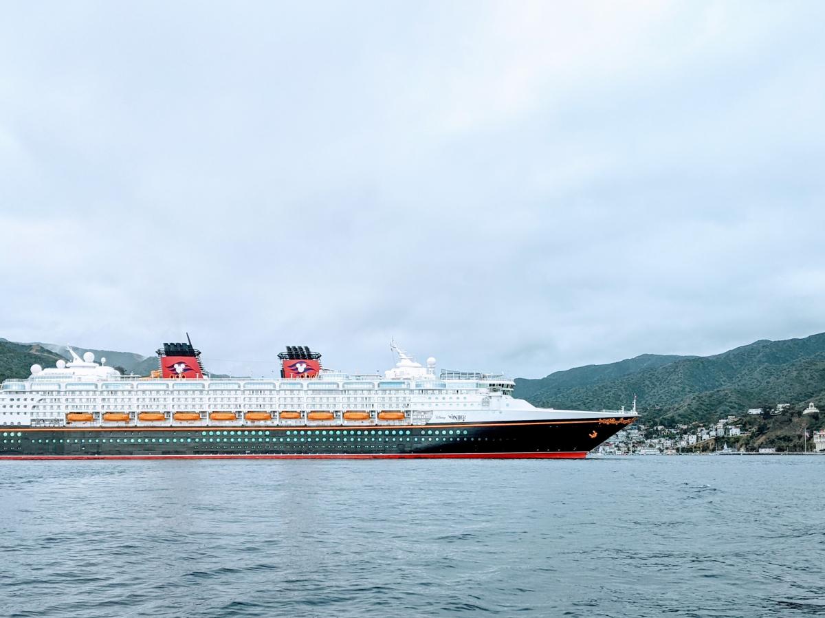 Disney Wonder Cruise