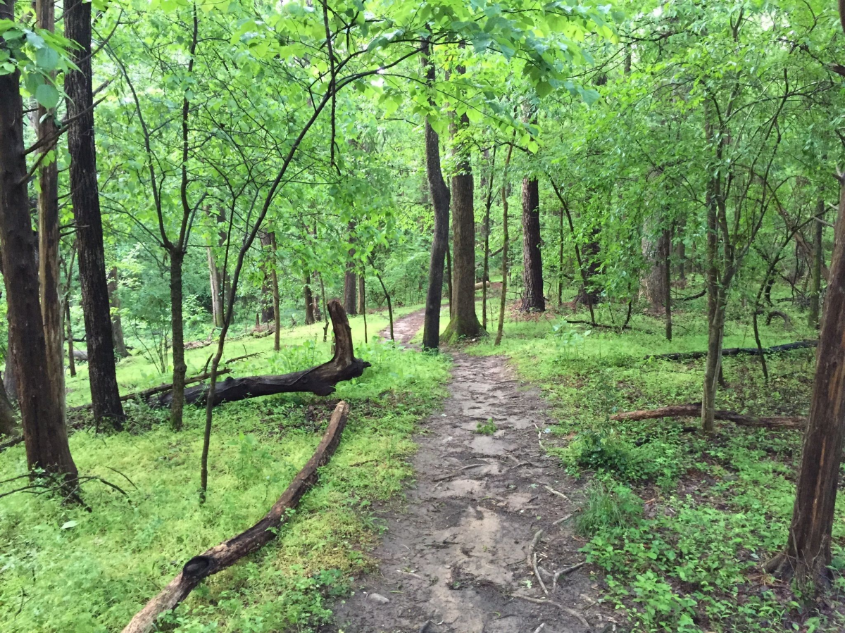 Pritchard Park Library Trail, Chapel Hill