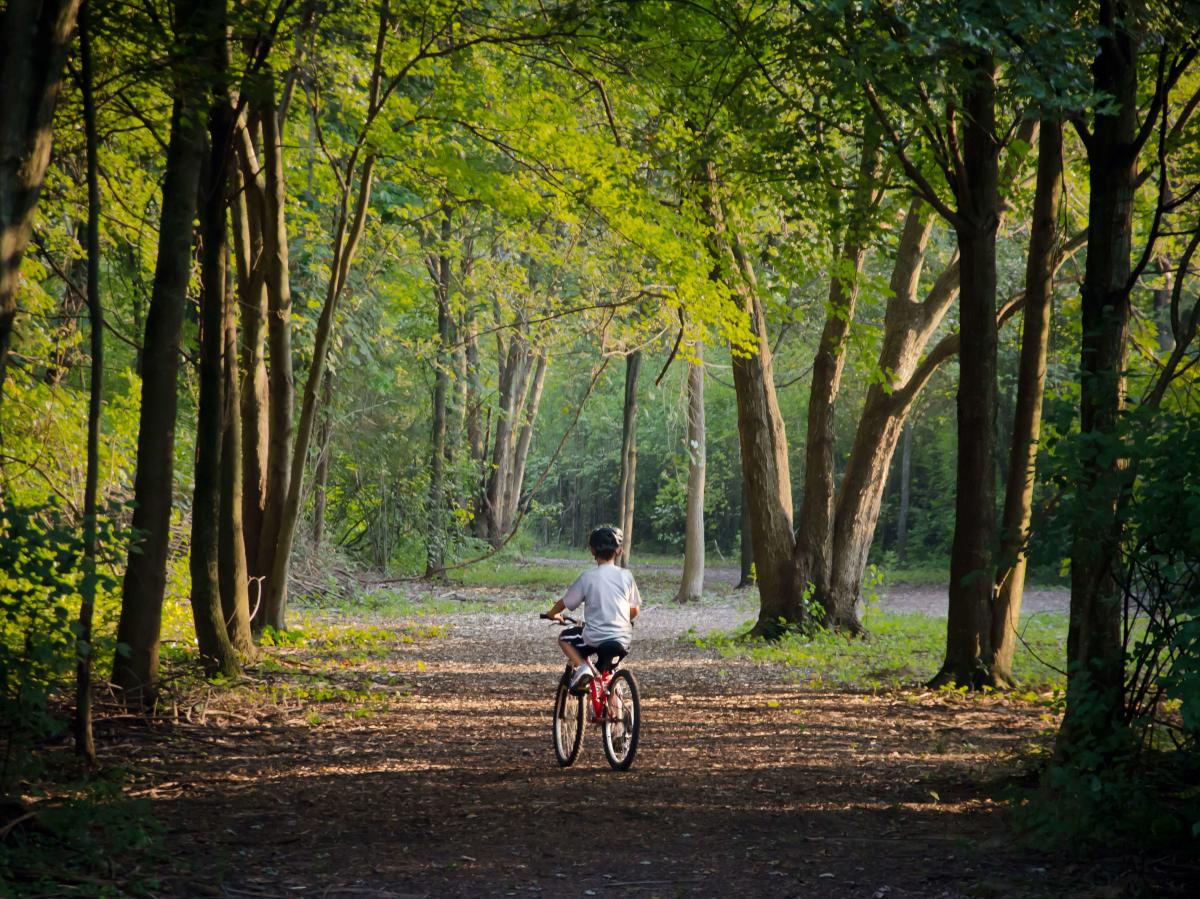 Summer biking in Summit Park