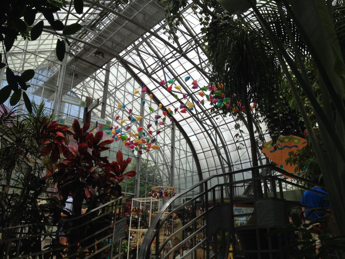 Image is of the inside of the Krohn Conservatory looking up. You can see the glass roof, plants and trees around you, a staircase leading up and a colorful bird mobile.