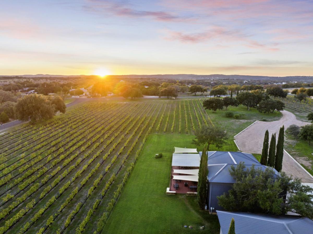 Stone House Vineyard