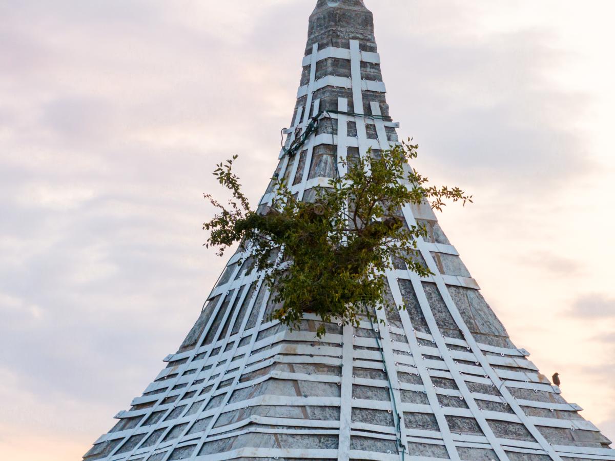 Courthouse Tower Tree