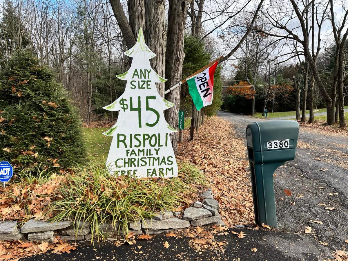 A sign outside Rispoli Family Christmas Tree Farm in Bath, Pa.