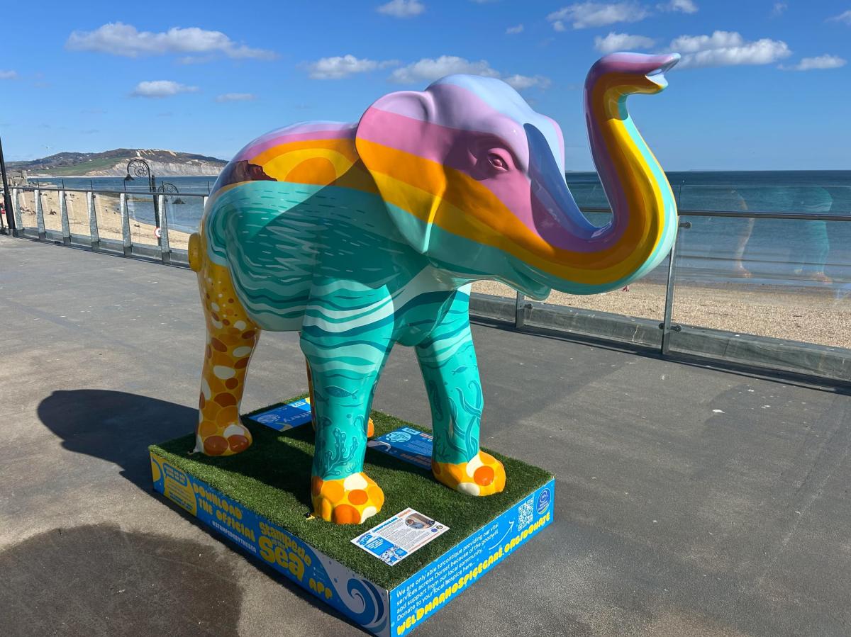Stampede by the Sea Trail at Lyme Regis in Dorset