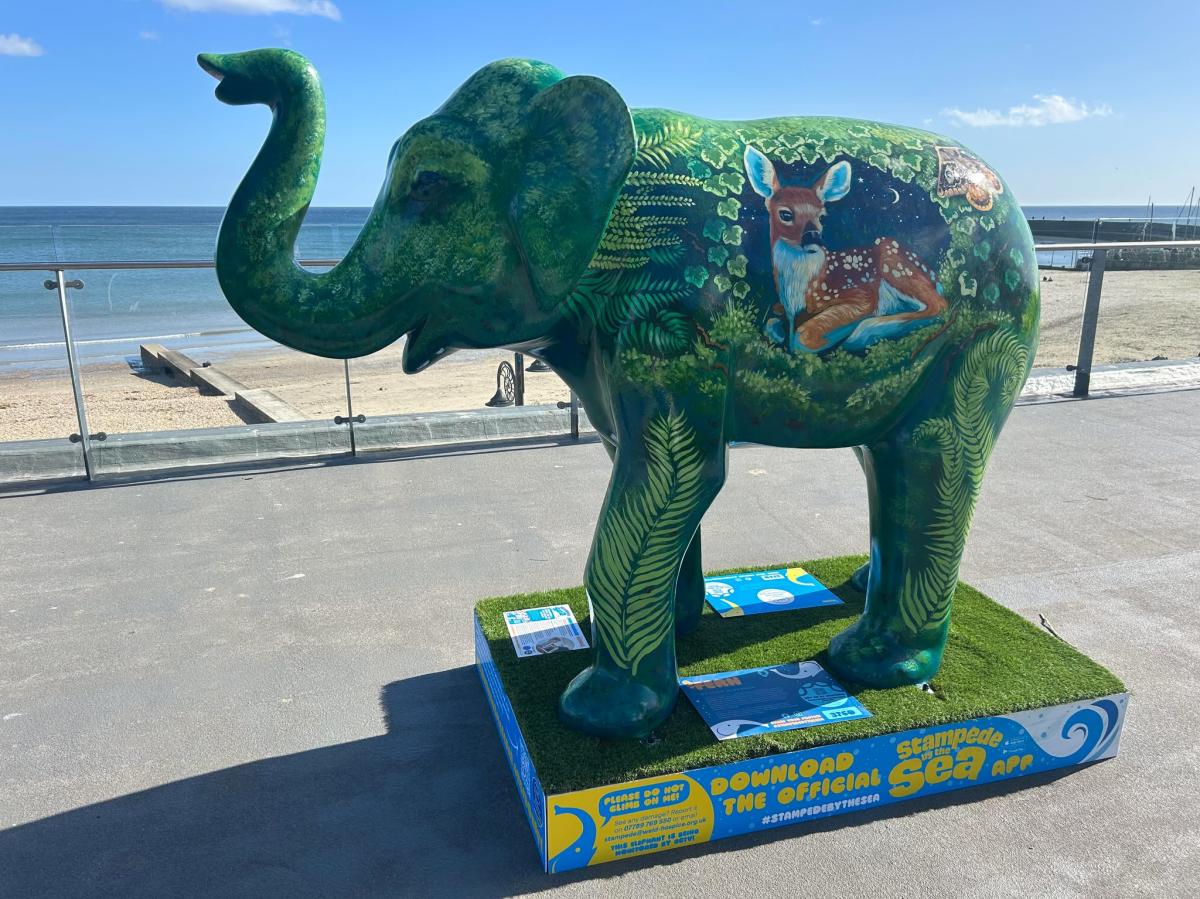 Stampede by the Sea Trail in Lyme Regis, Dorset