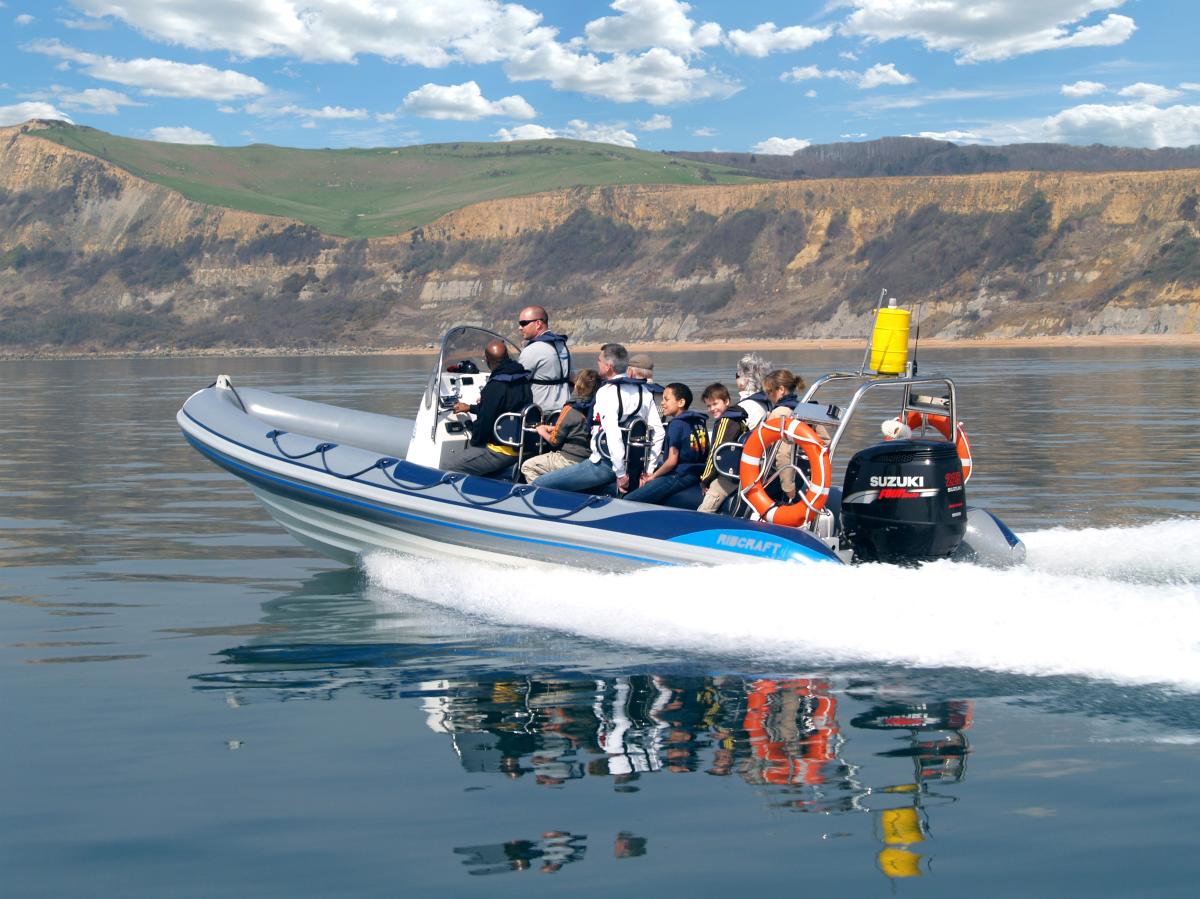 Lyme Bay RIB Charter coastal cruise