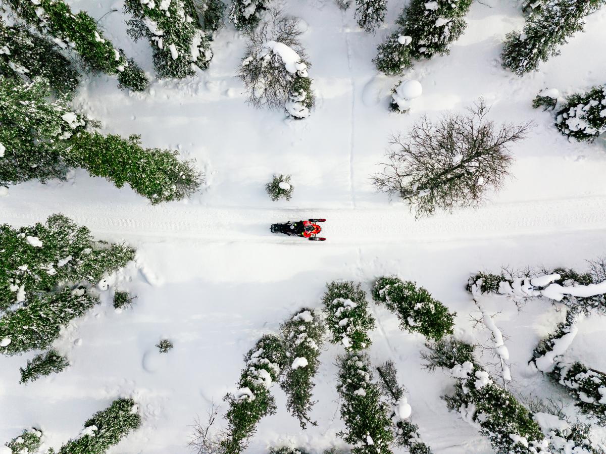 Snowmobiling in La Plata Canyon