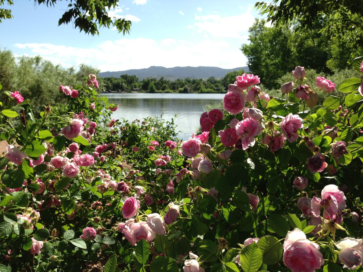 City Park Florals