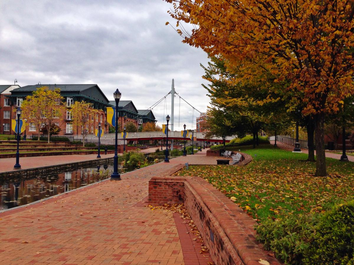 Fall foliage at Carroll Creek Park In Frederick County, MD