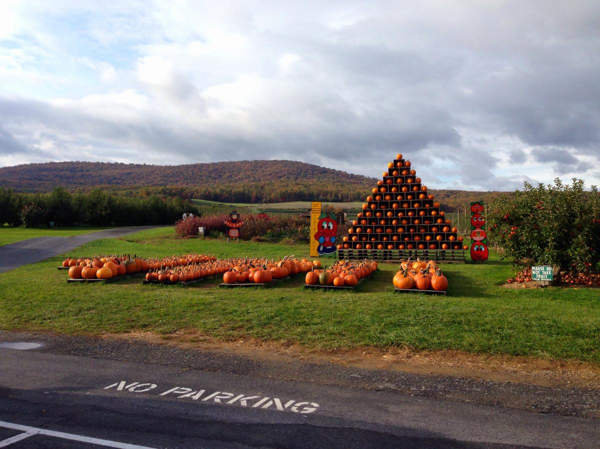 Pumpkin display at the Catoctin Mountain Orchard In Frederick County, MD