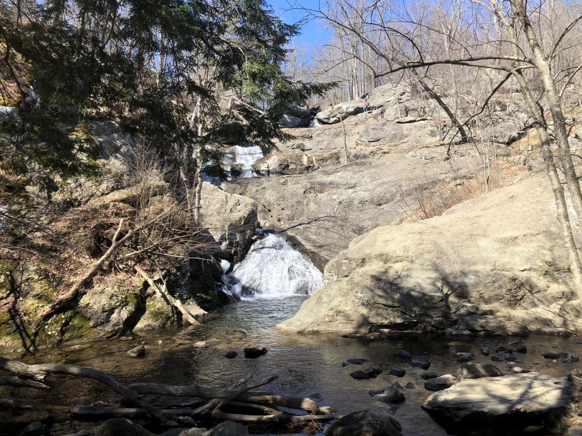 Cunningham Falls Maple Syrup