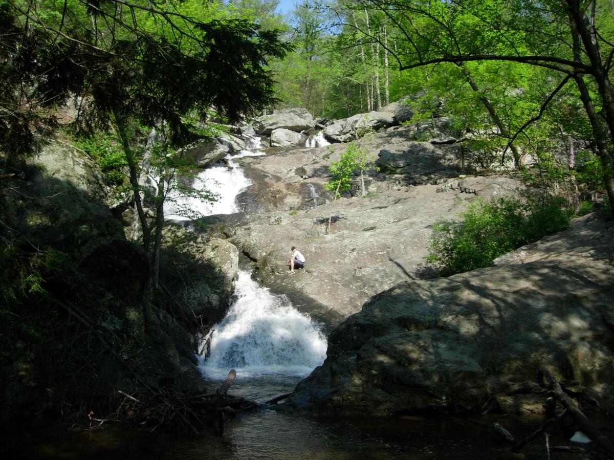 Person Looking At Cunningham Falls