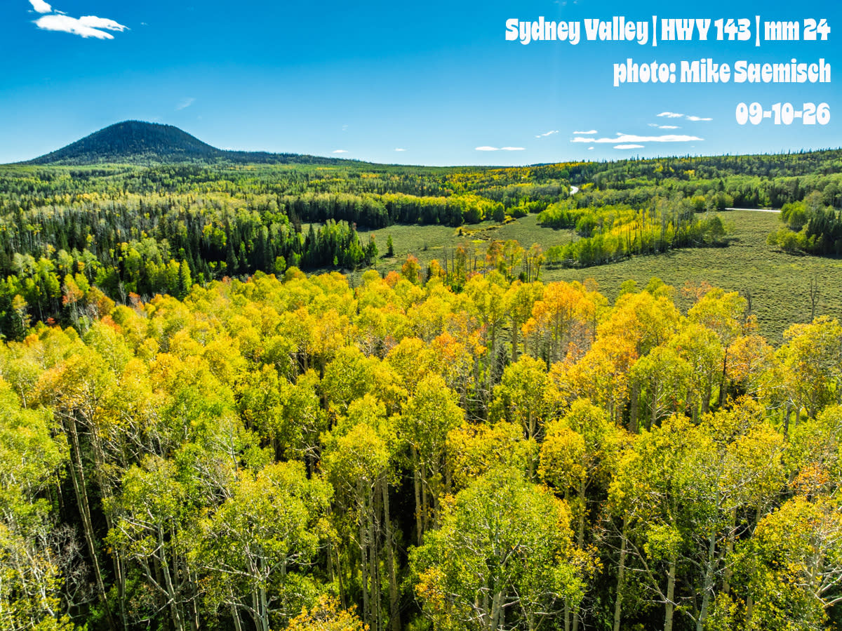 Sydney Valley | Mike Saemisch | Fall | 2026