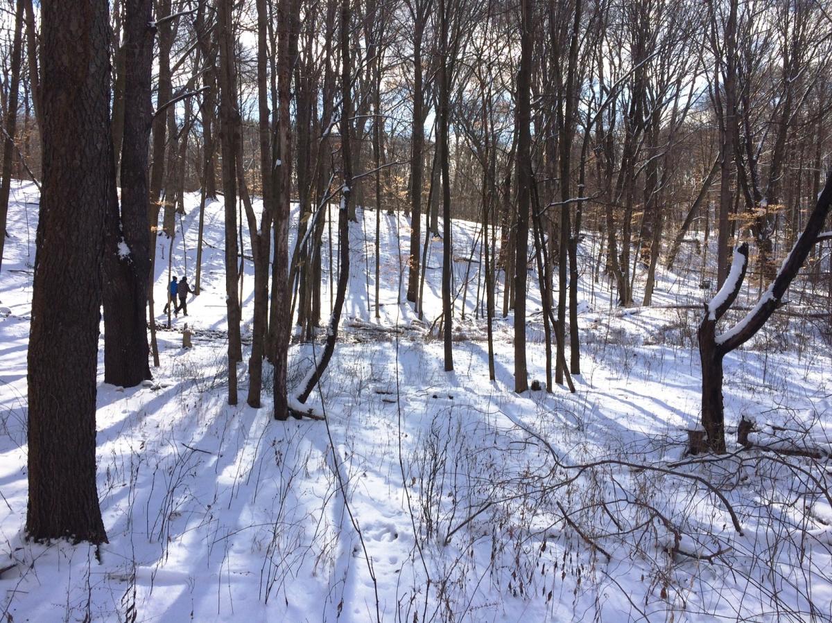 Kalamazoo Nature Center