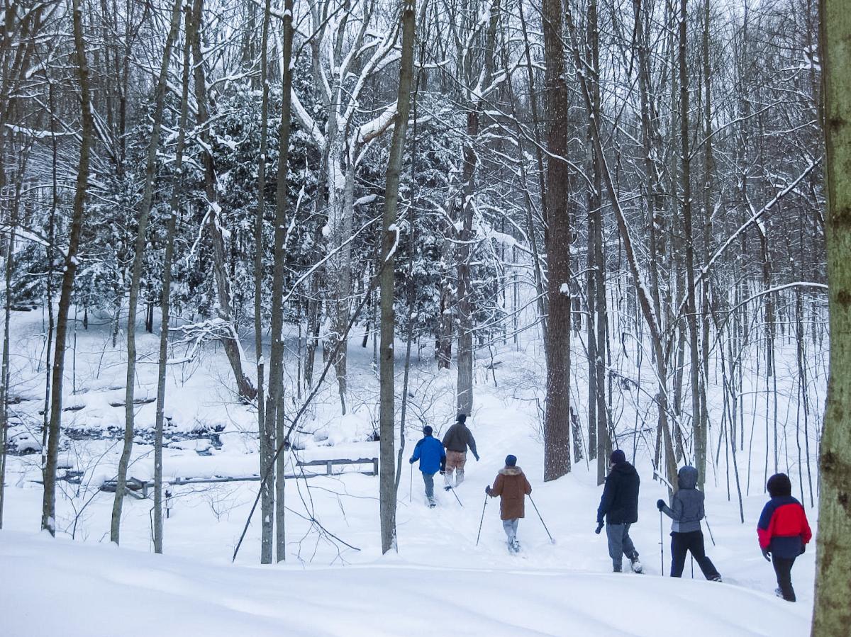 A group of people snowshoeing through the woods