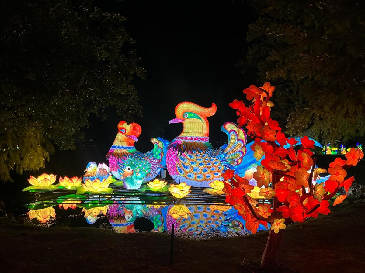 Wild Lights Sedgwick County Zoo - Visit Wichita
