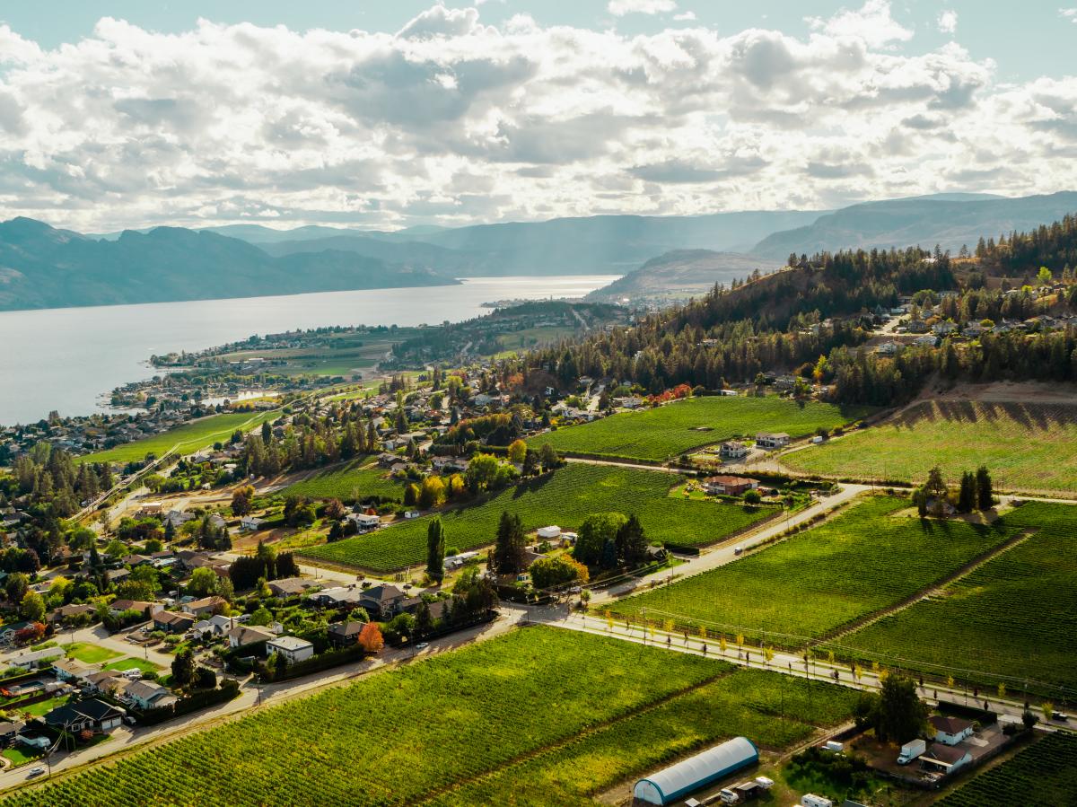 Boucherie_Road_West_Kelowna_Vineyards_Aerial_2_