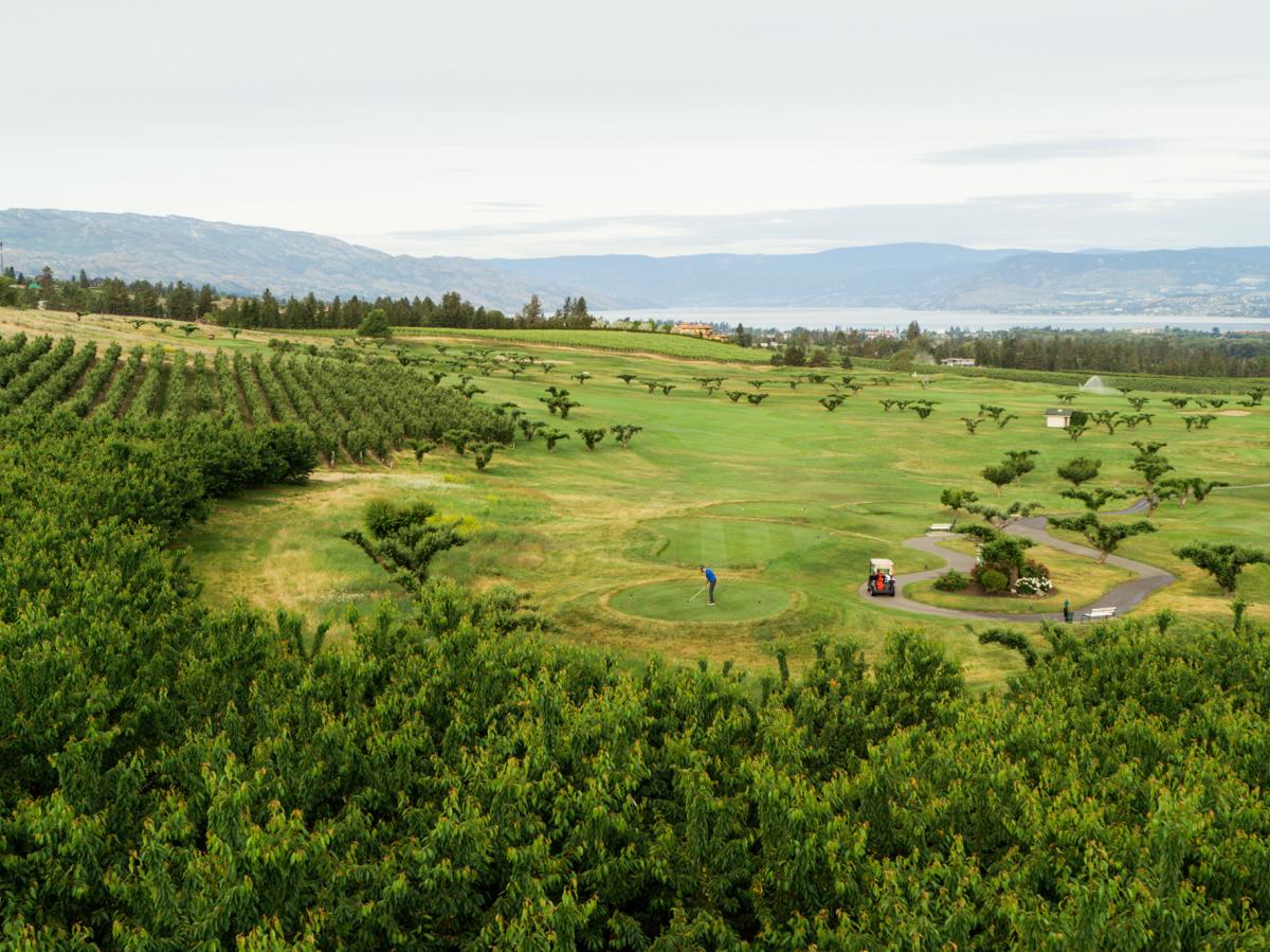 Aerial Harvest Golf Club In Kelowna, BC