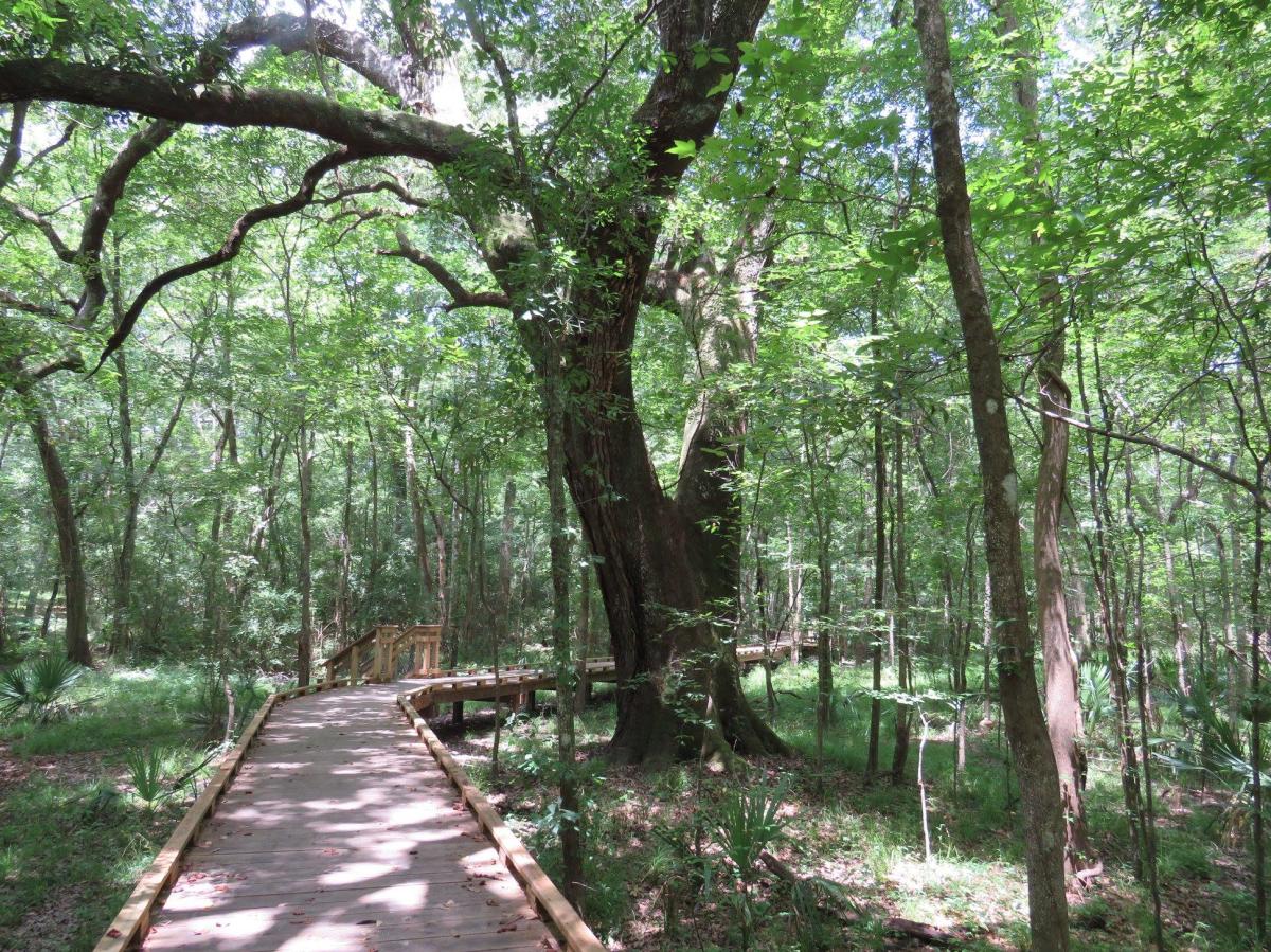 Acadiana Park Nature Station Walking Trail