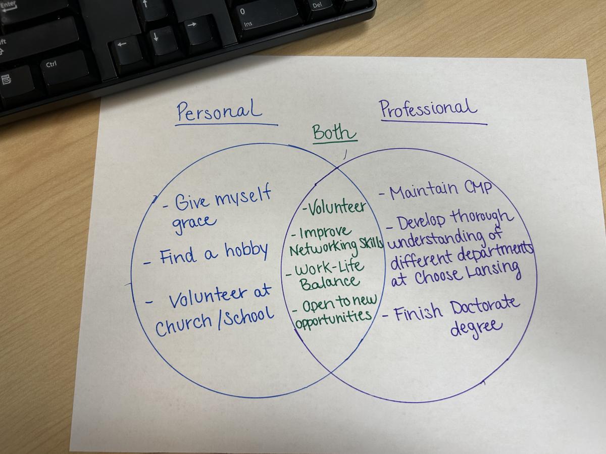 A venn diagram of personal and professional goals on paper.