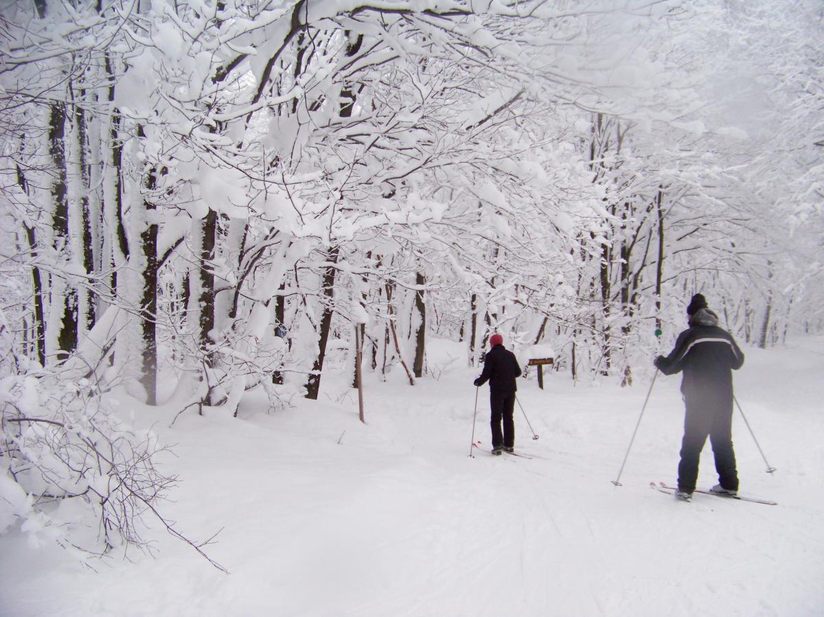 Cross-Country Skiing